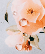 Load image into Gallery viewer, Complex B5 - Langa Life